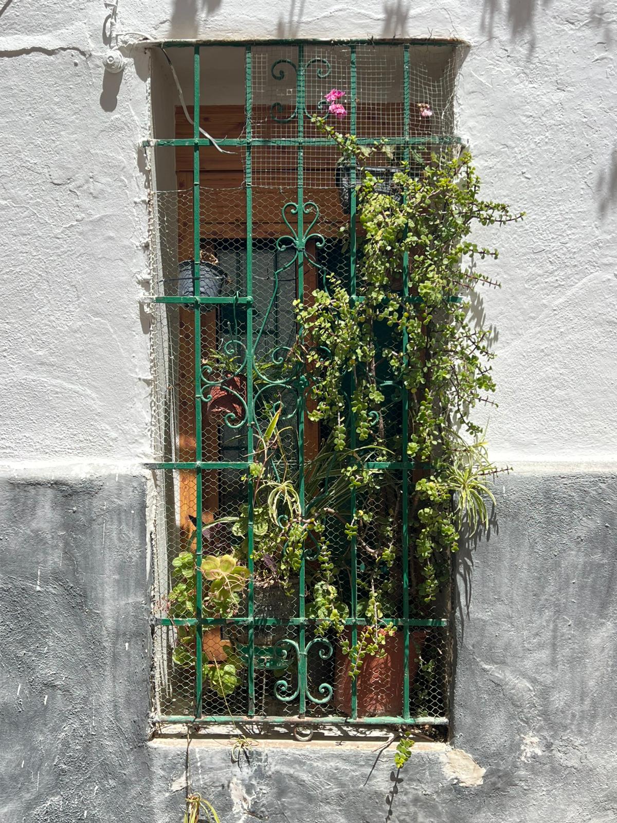 Ventana verde en una fachada de Valencia